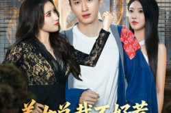 《美女总裁不好惹，小神医专治不服》(80集) 言情短剧全集免费在线观看