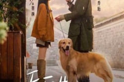 《乔医生，我想帮你收租》(81集) 爱情短剧全集免费观看