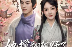 《她搅翻朝野了，王爷你怎么还递刀》(80集) 古装短剧全集免费在线看