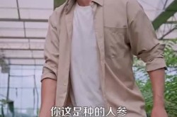 《农村我种的粮食都成精了》(101集) 乡村短剧全集免费看