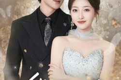 《华丽人生》(60集) 都市短剧全集免费畅看