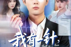 《我有一针，可定红尘》(80集) 仙侠短剧在线免费观看