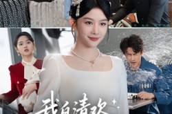 《我自清欢无风无月》(51集) 都市短剧全集免费观看