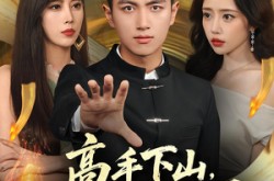 《高手下山我不当赘婿》(66集) 动作短剧全集免费在线看