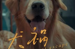 《犬祸难逃》(33集) 宠物短剧全集高清观看  