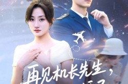 《再见机长先生，我要结婚了》(56集) 浪漫短剧全集免费观看