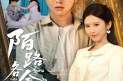 《陌路各余生》(65集) 情感短剧全集免费畅享