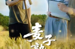 《麦子熟了》(52集) 农村短剧全集高清在线看