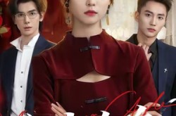 《狙击玫瑰》(47集) 军事短剧全集在线免费看