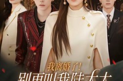 《我离婚了！别再叫我陆太太，叫沈总》(74集) 都市短剧全集高清观看