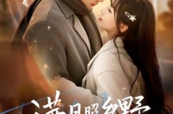 《满月照乡野》(70集) 农村短剧全集高清观看