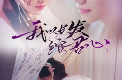《将军请垂怜》(80集) 武打短剧全集高清在线看