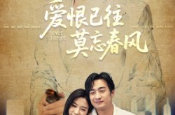 《爱恨已往莫忘春风》(80集) 情感短剧全集免费畅看