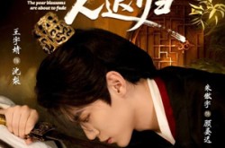 《梨花欲谢人迟归》(60集) 古装短剧全集在线免费看  