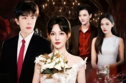 《风月不相关》(74集) 古风短剧全集在线追剧