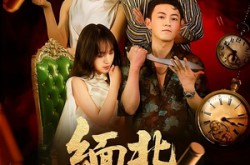 《缅北72小时》(43集) 冒险短剧全集在线免费赏