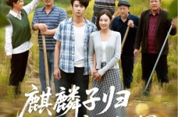 《麒麟子归报春晖》(36集) 古装短剧全集免费观看