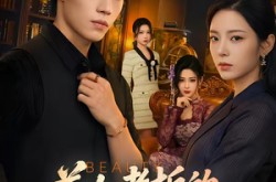 《美女老板的贴身近卫》(60集) 职场短剧全集免费在线看