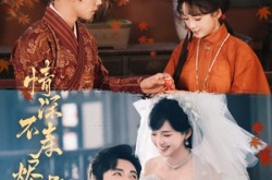 《情深不寿烬相思》(60集) 爱情短剧全集网盘在线看