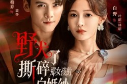 《野犬撕碎了那女孩的白婚纱》(78集) 短剧全集在线高清观看