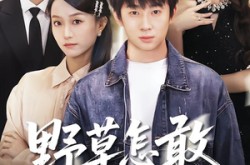 《野草怎敢沐春风》(61集) 情感短剧全集免费播放