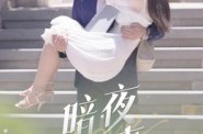《暗夜情事》(100集) 都市短剧全集免费畅享观看
