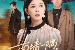 《南墙一隅，回头是你》(61集) 心动短剧全集在线免费观