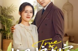 《长风护晚宁》(59集) 古装短剧全集高清观看