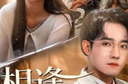 《相逢却不识》(77集) 都市情感短剧全集在线赏