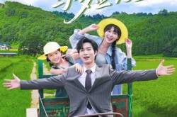 《野蔷薇与多金先生》(63集) 现代都市短剧在线免费看