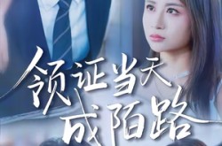 《领证当天成陌路》(39集) 爱情短剧免费全集播放  