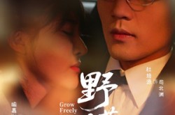 《野芳菲》(60集) 都市短剧全集完整版观看  