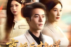 《离婚后才知道赘婿是仙君》(66集) 仙侠短剧全集在线观赏