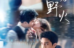 《夏吻野火》(80集) 现代短剧全集免费在线观看全集