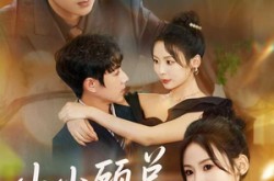 《小小顾总拿捏》(82集) 职场短剧全集高清观看