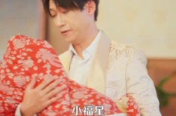 《督军开门小奶团旺家》(60集) 萌系短剧全集在线观看