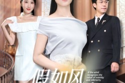 《假如风识贵贱》(58集) 奇幻短剧全集免费观影