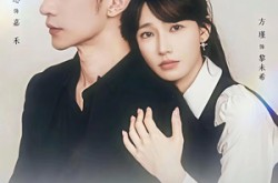 《关于黎秘书的一切》(60集) 职场短剧全集无广告观看