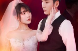 《商海帝王从兄弟结婚开始》(80集) 商战短剧免费全集畅享