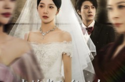 《出嫁当天他的女兄弟哭着求我原谅》(80集) 情感短剧全集免费观看