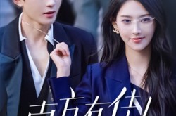 《南方有佳人》(83集) 剧情短剧全集在线高清看