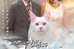 《午夜缅因猫我的饲主竟是命中注定》(66集) 奇幻短剧全集在线看