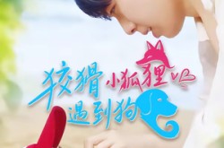 《狡猾小狐狸遇到狗》(80集) 喜剧短剧全集免费播放  