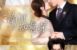 《南风知意深》(40集) 都市短剧全集在线看