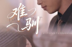 《难驯》(62集) 都市短剧全集高清观看