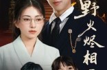 《野火烬相思》(61集) 情思短剧全集高清免费看