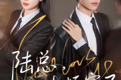 《陆总，她又去拆家了》(80集) 爱情短剧全集在线看