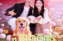 《向阳知夏时》(80集) 青春短剧全集免费观看  