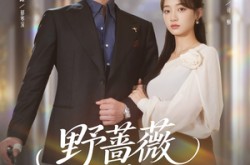 《野蔷薇与绅士杖》(78集) 情感短剧全集免费在线赏