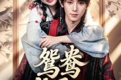 《鸳鸯戏君心》(60集) 宫廷短剧全集在线播放  
